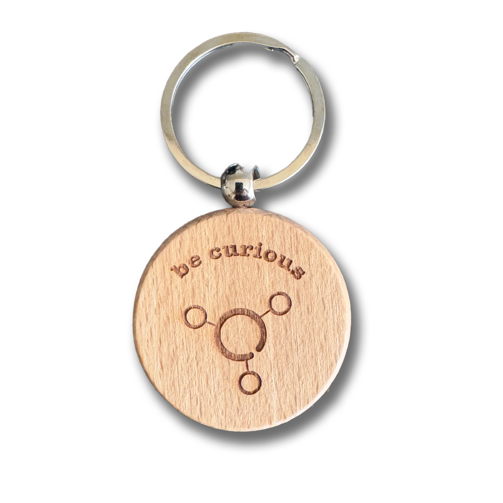 Shambles Curious Wooden Keyring