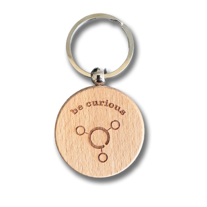 Shambles Curious Wooden Keyring