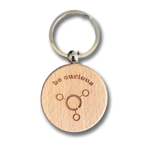 Shambles Curious Wooden Keyring