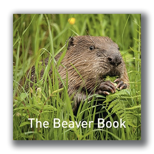 The Beaver Book - Hugh Warwick [Signed]